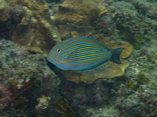 2016年9月15日(木・曇り)甲浦_d0164831_17523525.jpg