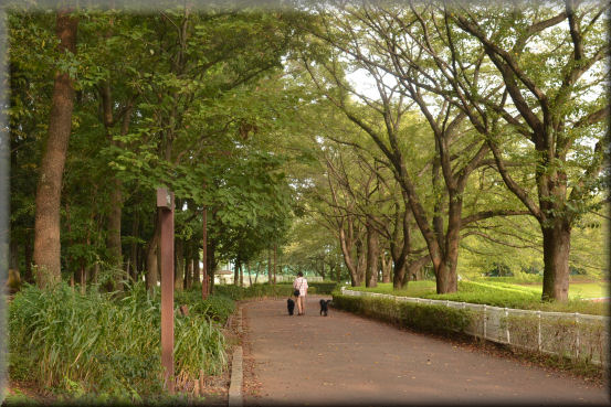 f0363141_151392.jpg