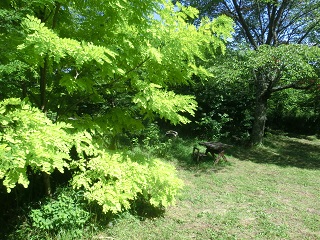 e0082045_20162980.jpg