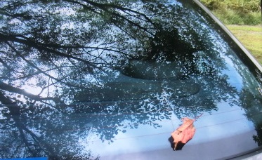 e0082045_20244264.jpg