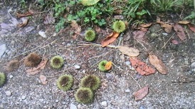 e0082045_2032034.jpg