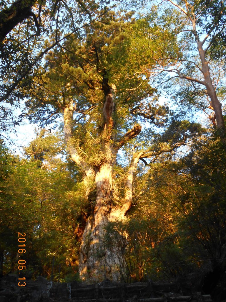 f0202445_23361138.jpg