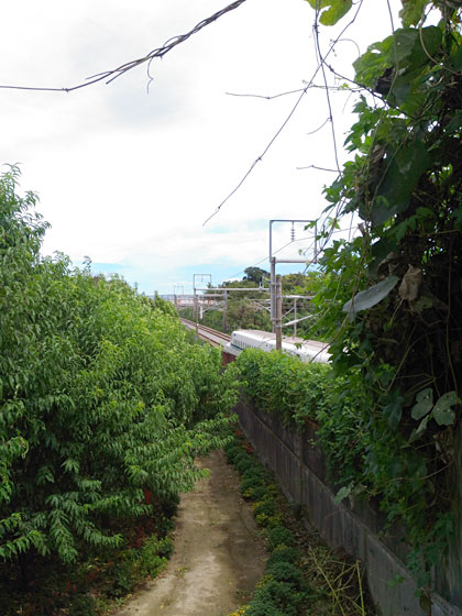 c0335348_14335321.jpg