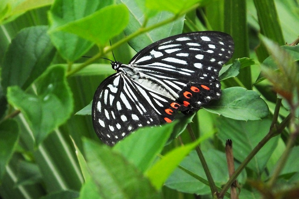 b0236251_11143983.jpg