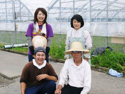 熊本セロリ「清正人参」 今年(平成28年度)も12月上旬より出荷します!定植後の様子を現地取材!_a0254656_14184871.jpg