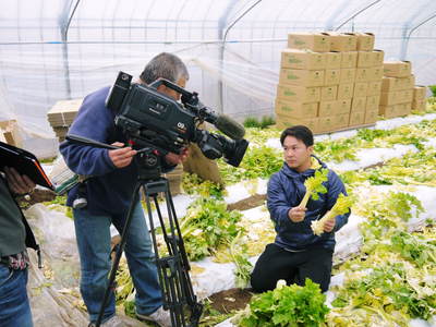 熊本セロリ「清正人参」 今年(平成28年度)も12月上旬より出荷します!定植後の様子を現地取材!_a0254656_1436050.jpg