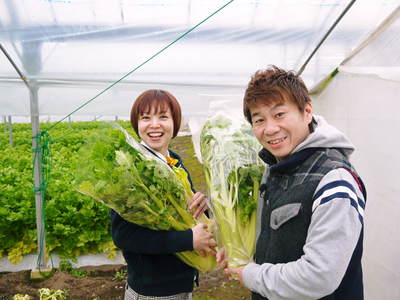 熊本セロリ「清正人参」 今年(平成28年度)も12月上旬より出荷します!定植後の様子を現地取材!_a0254656_14451284.jpg