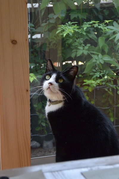 ワークショップご参加ありがとうございました。。。_a0229658_8454763.jpg