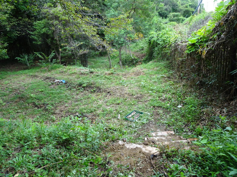 c0108460_16501583.jpg