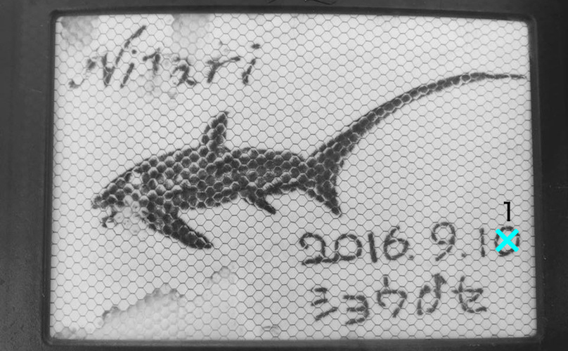 e0158261_76928.jpg