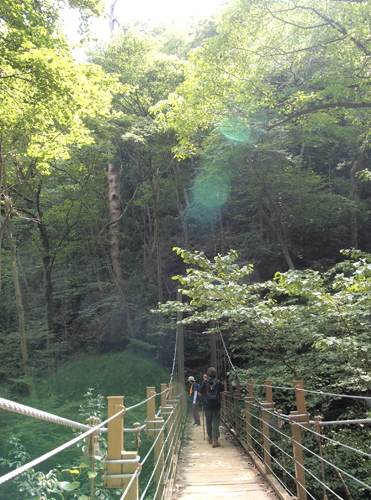 c0011862_21242818.jpg