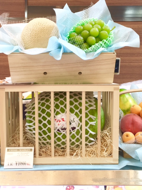 ゴジラのたまご スイカ つらつら綴れ日記５