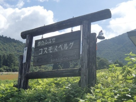 面白山高原コスモスベルグ 蔓兵衛の山と庭の日々