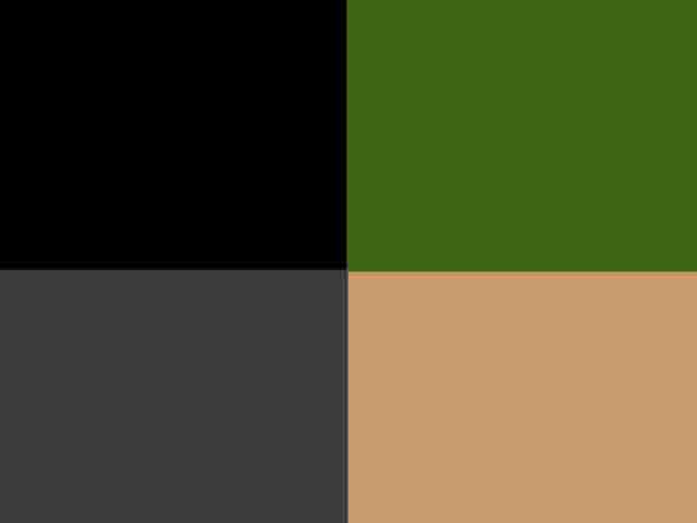 a0141274_13185259.jpg