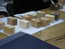 建具ワークショップ 建具に使う材木① 材木の種類_f0375580_17104251.jpg