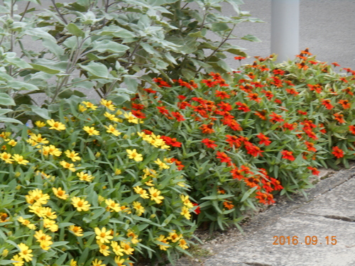 a0318189_144705.jpg