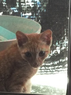 d0207297_11280521.jpeg