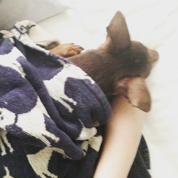 d0343297_14325480.jpeg