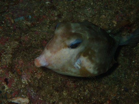 e0115199_20122407.jpg