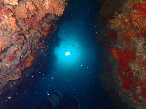 e0115199_20125901.jpg