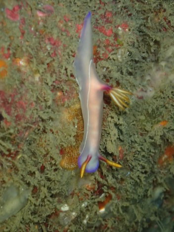 e0115199_20242307.jpg