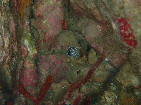 e0115199_20252669.jpg