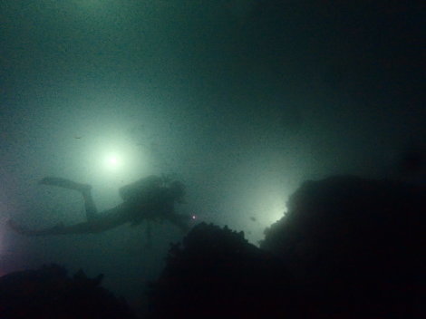 e0115199_20435548.jpg