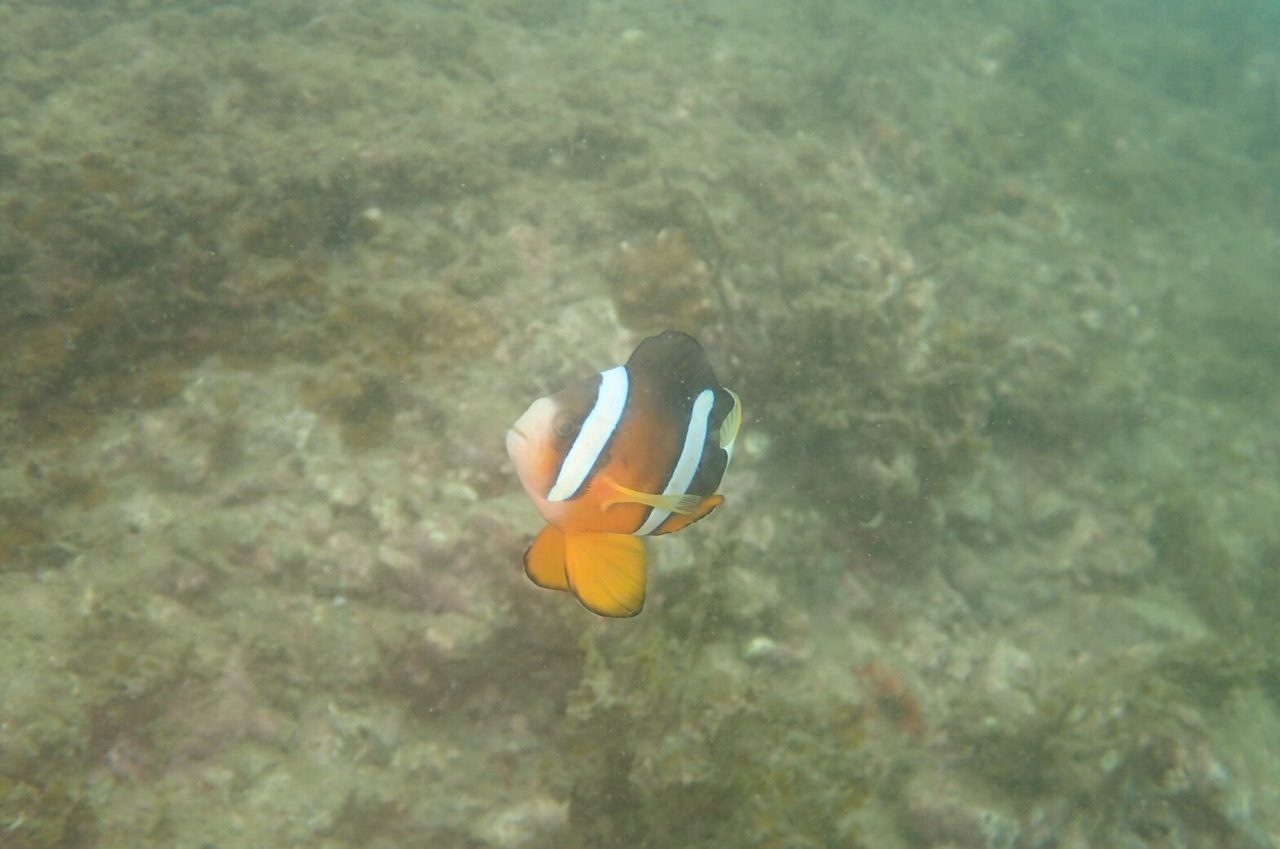 e0115199_20541347.jpg
