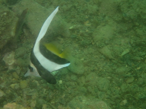 e0115199_20543795.jpg