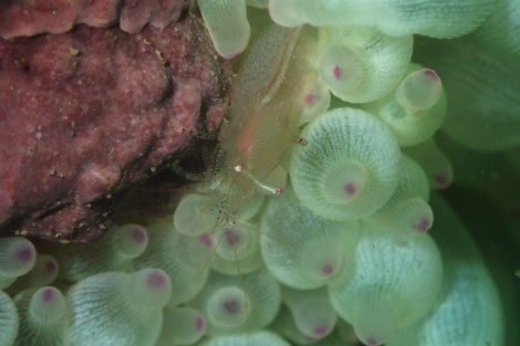e0115199_20595676.jpg