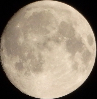 b0364601_00093963.jpg