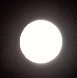 b0364601_08100187.jpg