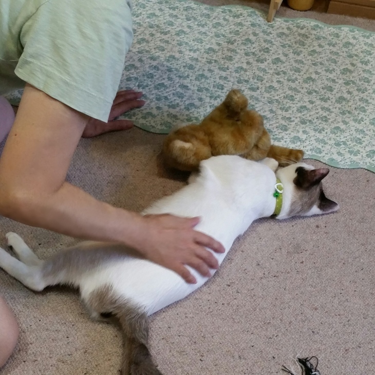 e0144012_15355336.jpeg