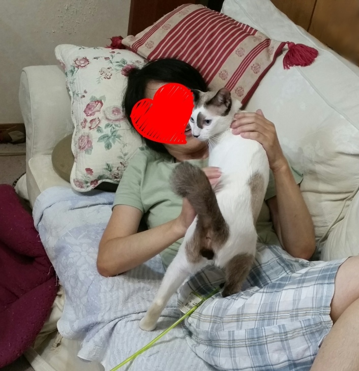 e0144012_15374135.jpeg