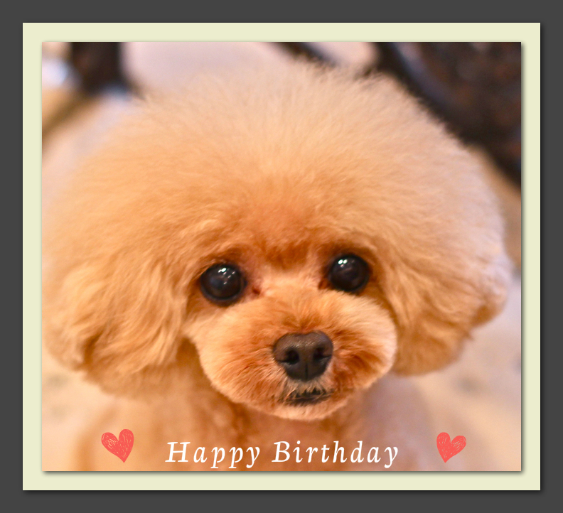 Happy Birthday ノンノくん♡&ポッポくん♡_d0060413_20125462.jpg