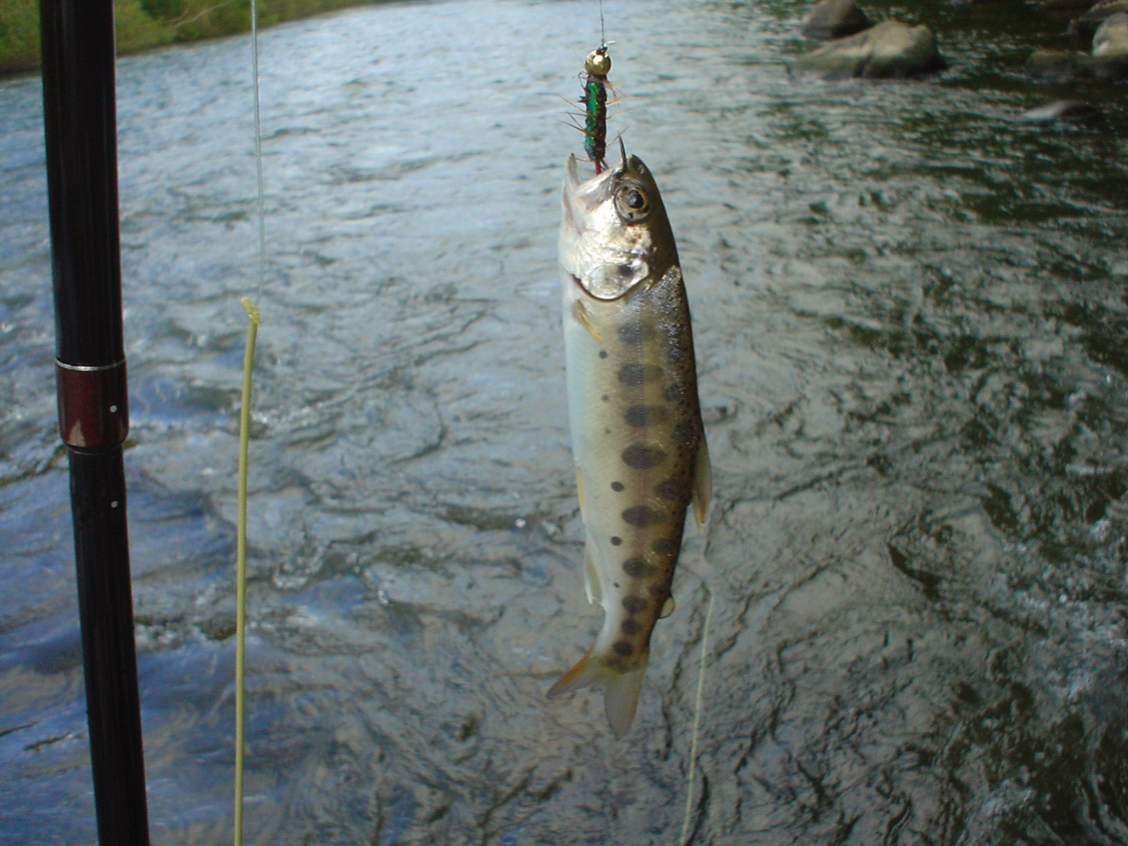 f0280717_14241599.jpg