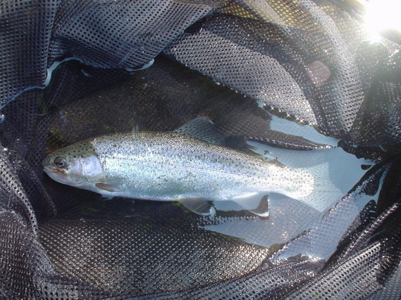 f0280717_14311764.jpg
