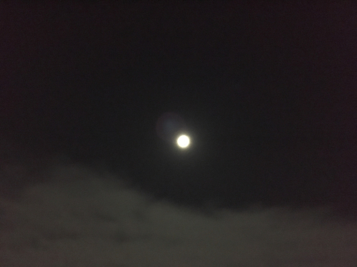 a0098418_00102491.jpg