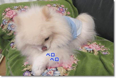 b0167519_20413490.gif