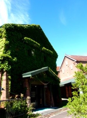 c0204725_14445615.jpg