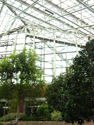 c0204725_1543020.jpg
