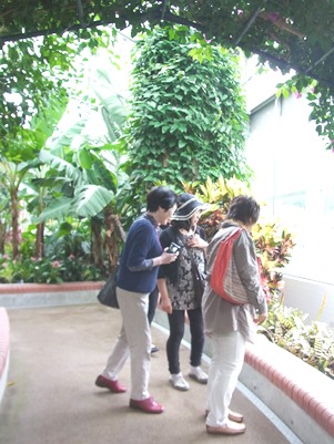 c0204725_1544413.jpg