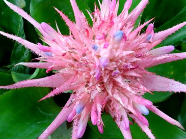 c0204725_155247.jpg