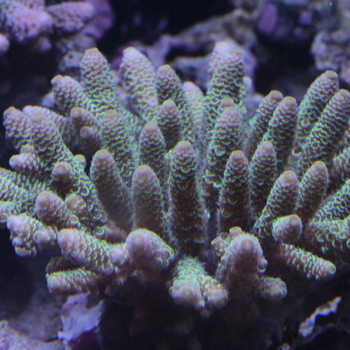 d0221436_22215170.jpg