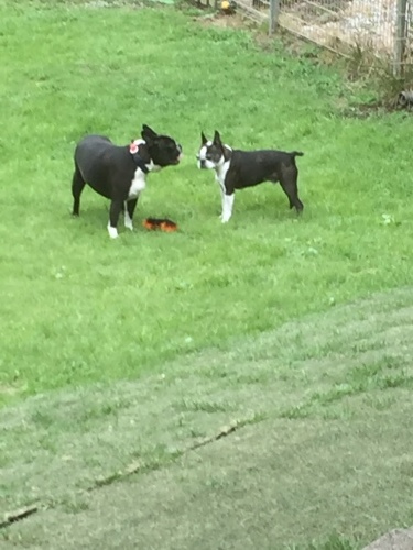 b0369239_11403392.jpeg