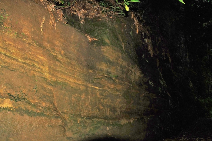 d0185744_1723461.jpg
