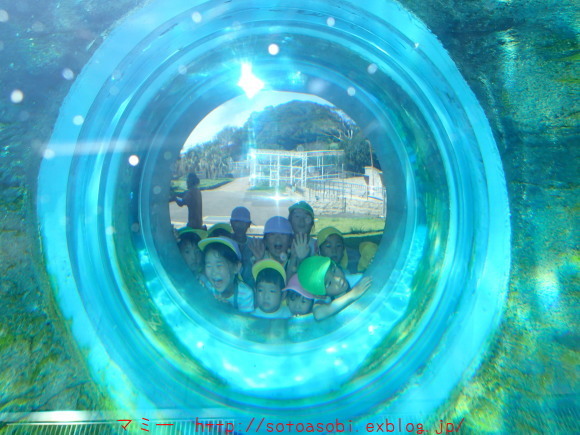 d0105749_13380897.jpg
