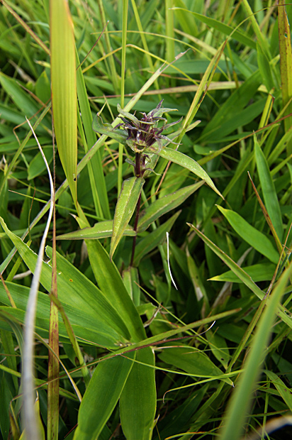 f0214649_3482679.jpg