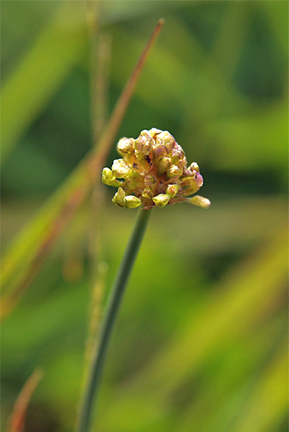 f0214649_3515238.jpg