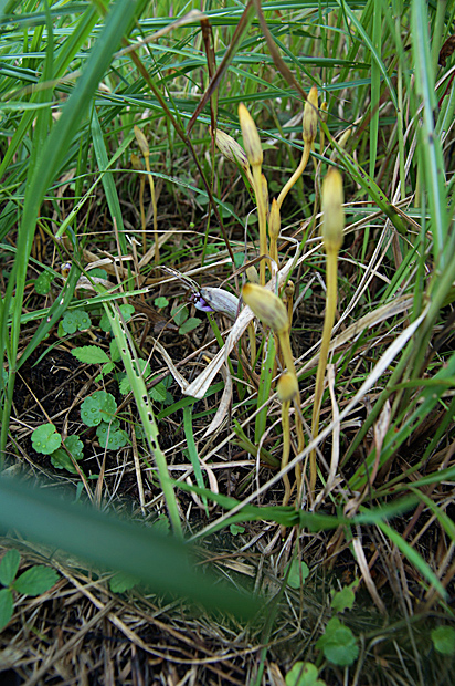 f0214649_354629.jpg